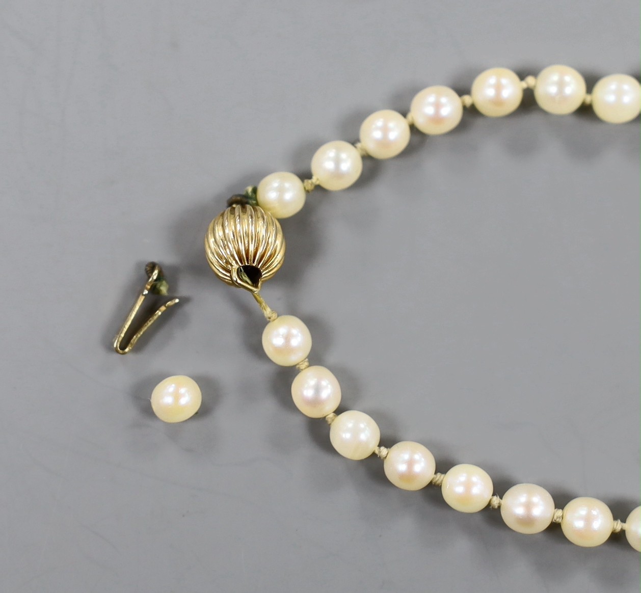 A singe strand graduated cultured pearl necklace, with 9ct clasp, 56cm (a.f.).